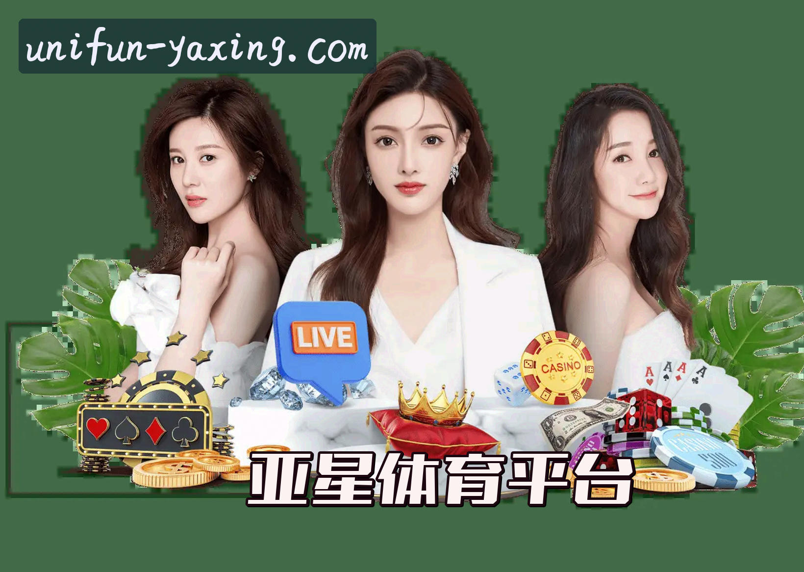 关于我们